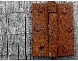 Rusty Hinges